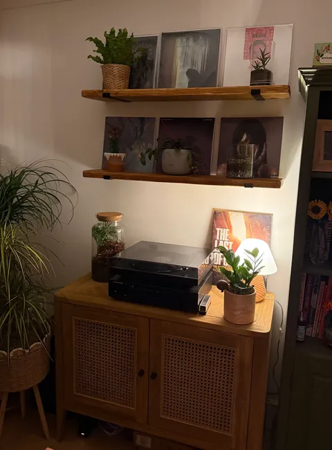 Antique pine shelves with records and plants in a customer's home