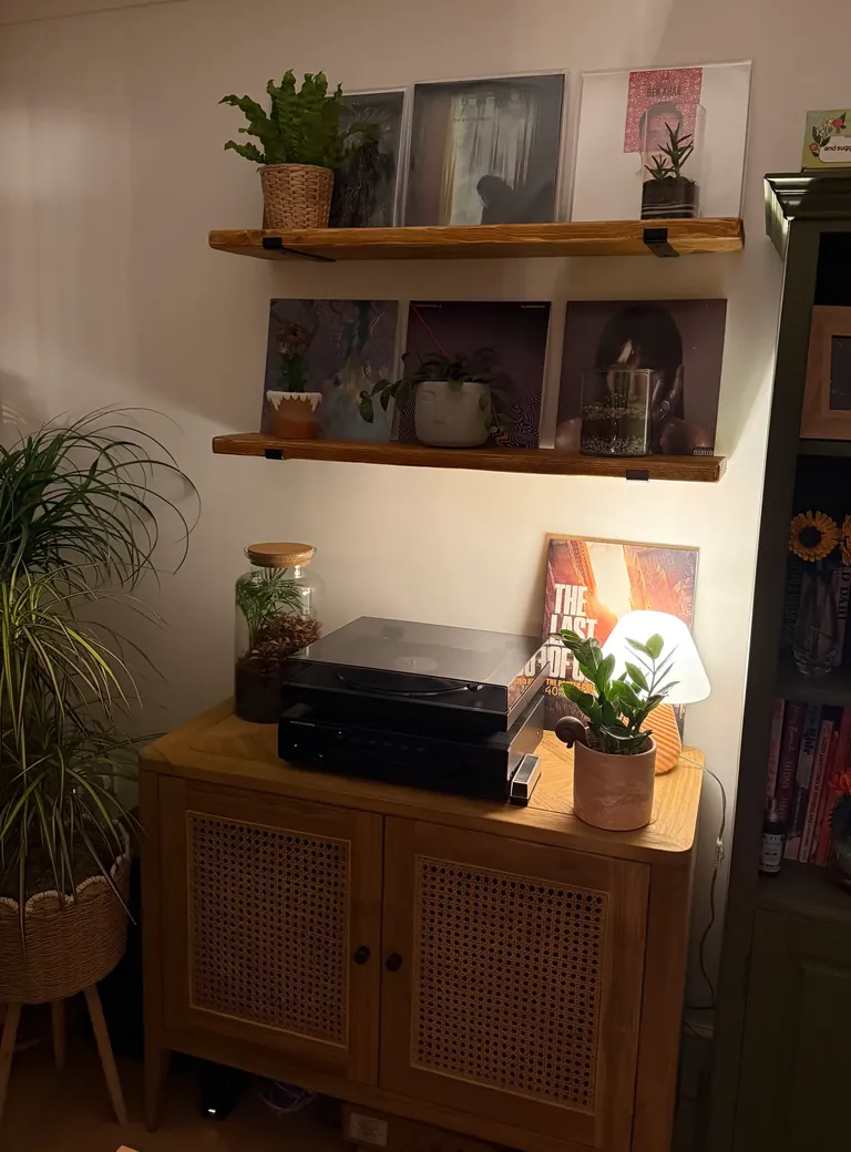 Two antique pine shelves with records and plants in a customer's home, mounted on black steel brackets